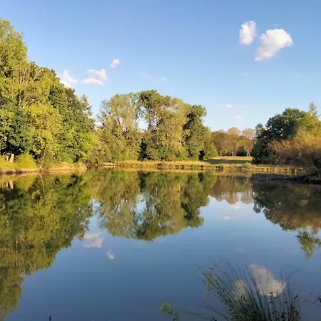 Restaurant Toque Et Passion